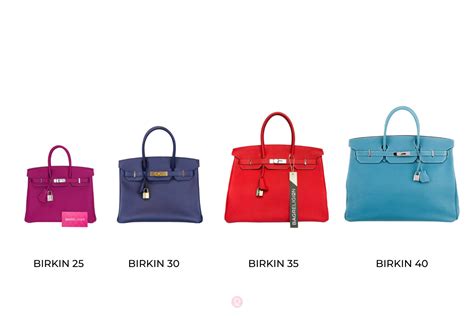 hermes birkin types